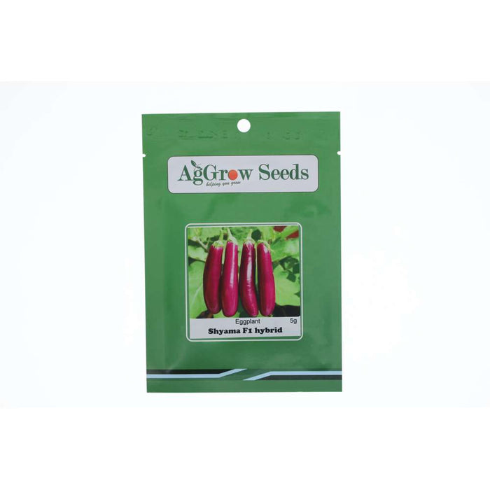 AgGrow Eggplant Seeds Shyama F1 Hybrid 5g