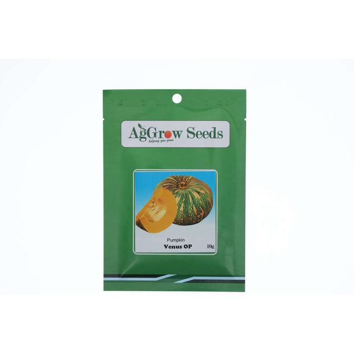 AgGrow Pumpkin Seeds Venus F1 Hybrid 10g