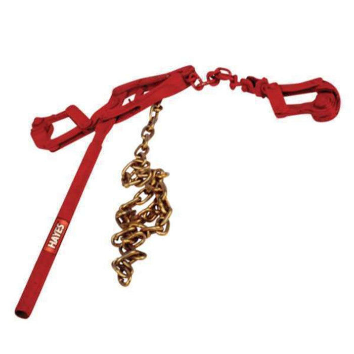 Hayes Wire Strainer