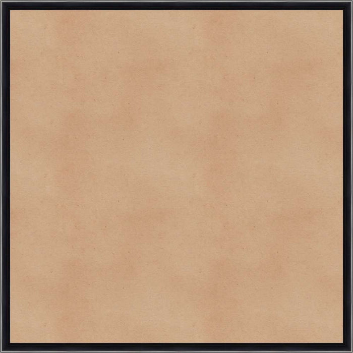 Picture Frame On Glass 48 x 48cm Assorted