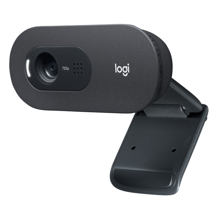 Logitech C505 HD Webcam