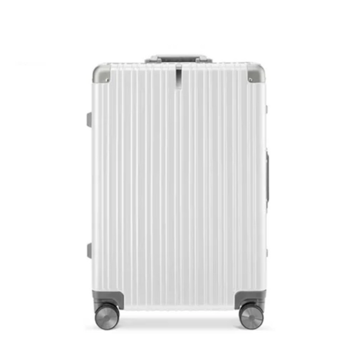 NinetyGo 24" Suitcase All round Guard 61LSpace Silver