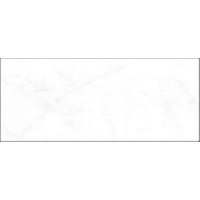 Millennium Wall Tile 300 x 600 #24043-LT Ceramic Gloss (5pc/0.9sqm Ctn)